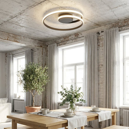 Haag Spiral Ceiling Light
