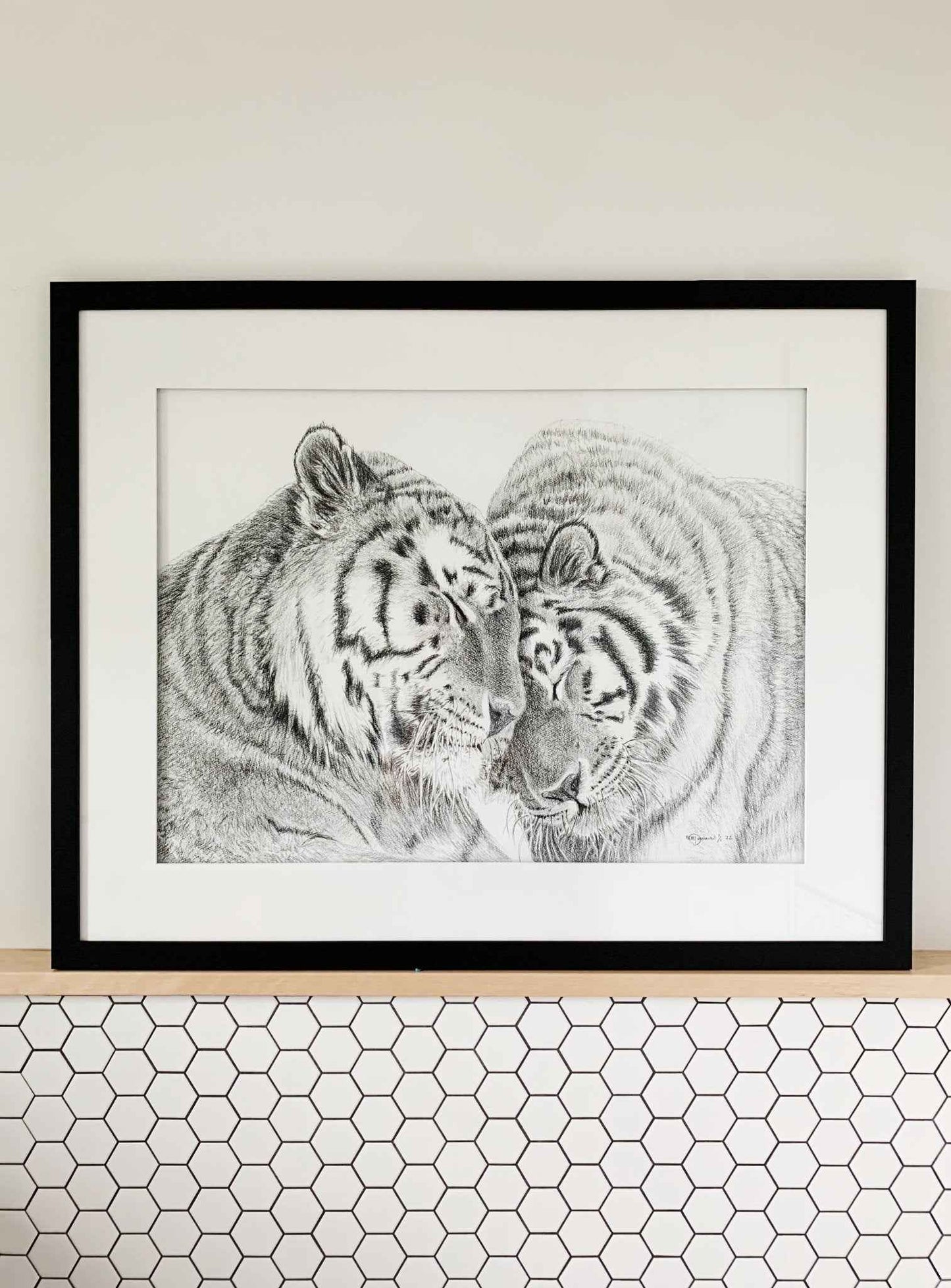 Amur Tigers - wildlife art print - collaboration with  La Fondation du Zoo de Granby