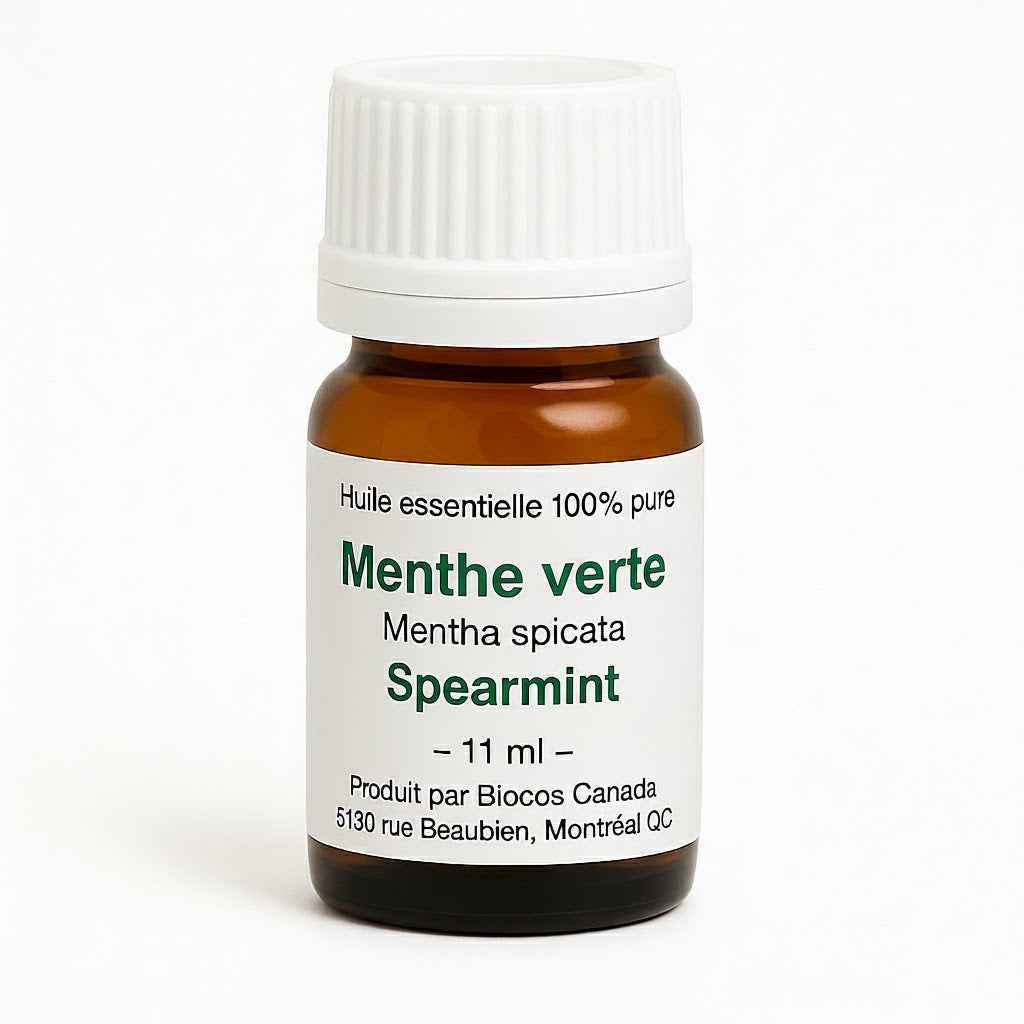 Menthe verte