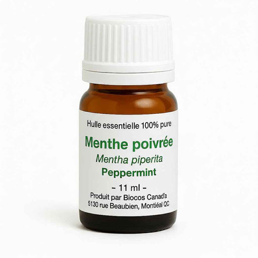 Menthe poivrée